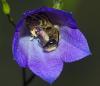 339623 – Photo : Florian ALONSO – France (69)